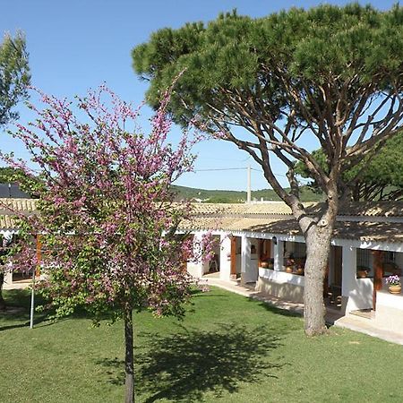 Hostal Las Acacias Los Canos De Meca Exterior photo
