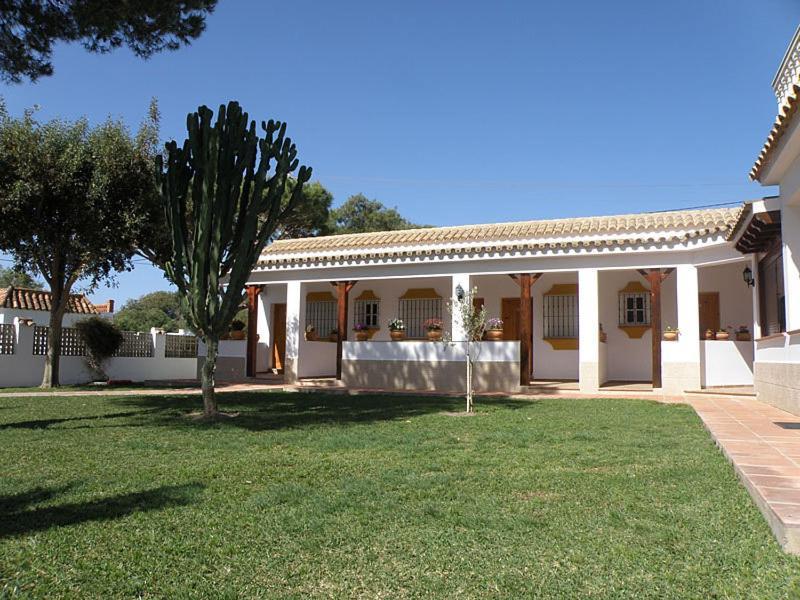 Hostal Las Acacias Los Canos De Meca Exterior photo